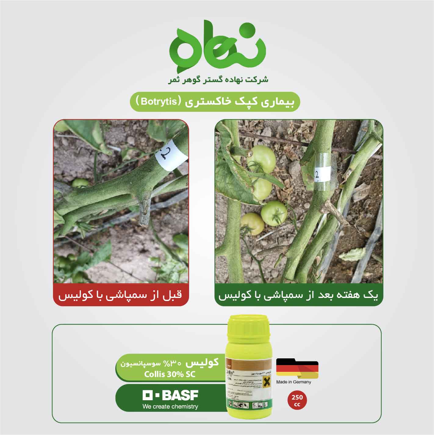 رضایت مشتری از استفاده از کولیس